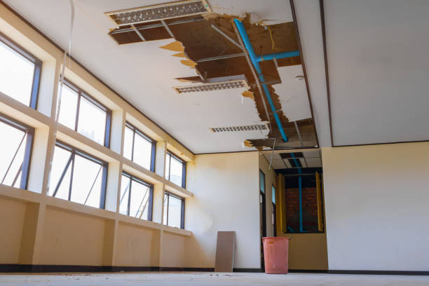 Best Ceiling water damage repair  in St Cloud, MN