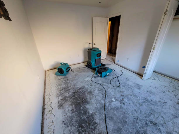 Best Sewage cleanup and water damage restoration  in St Cloud, MN