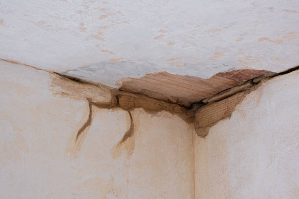 Best Residential water damage restoration  in St Cloud, MN