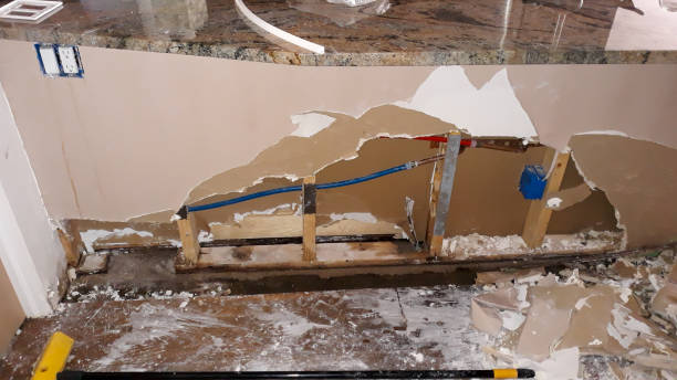 Best Professional water damage repair  in St Cloud, MN