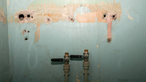 Best Basement water damage restoration  in St Cloud, MN