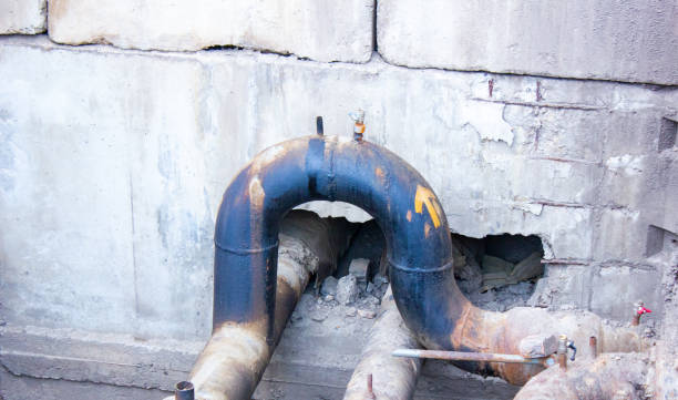 Best Mold removal after water damage  in St Cloud, MN